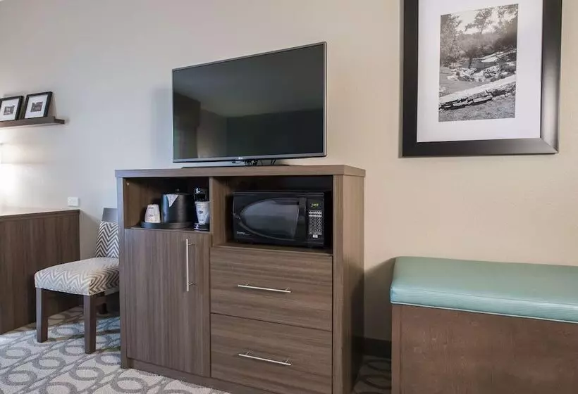 キングサイズベッドのスタンダードルーム, Hampton Inn Greenville/i385 Haywood Mall