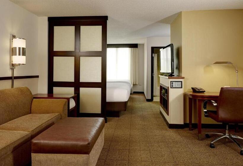 适合残疾人士使用的带超级大床的标准间, Hyatt Place Memphis Germantown
