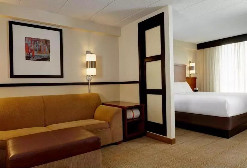 身障者適用キングサイズベッドルーム, Hyatt Place Memphis Germantown