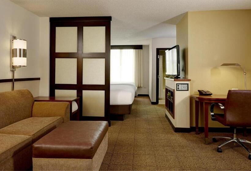 适合残疾人士使用的带超级大床的标准间, Hyatt Place Memphis Germantown