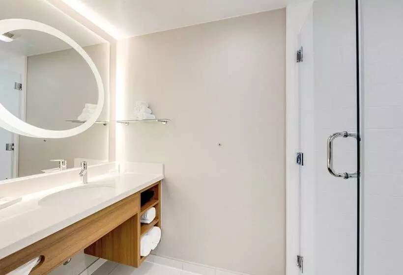 スイート, Springhill Suites By Marriott Houston The Woodlands