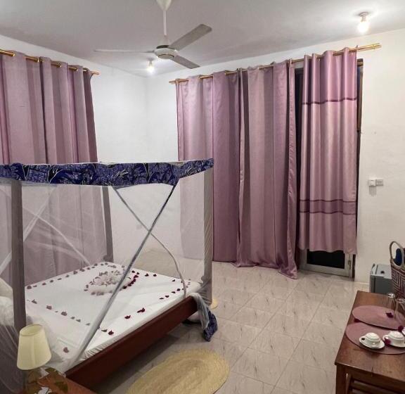 اتاق لوکس با تخت بزرگ, Nungwi Beach Front