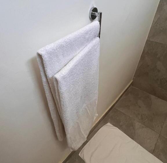 اتاق لوکس با تخت بزرگ, Nungwi Beach Front