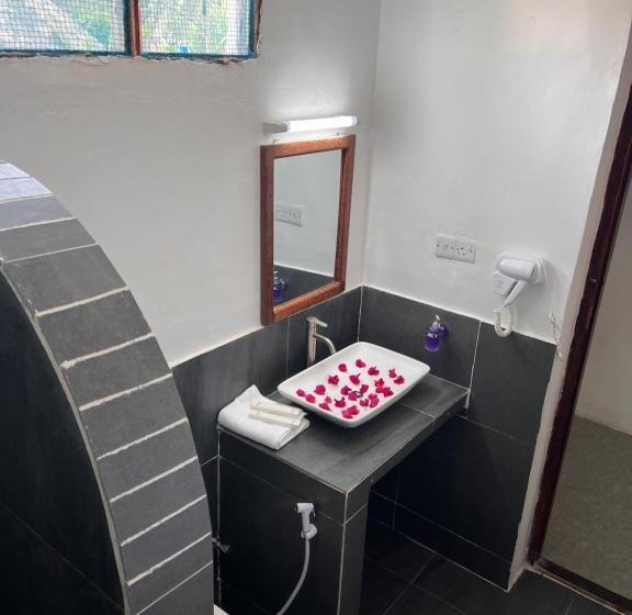 اتاق لوکس با تخت بزرگ, Nungwi Beach Front