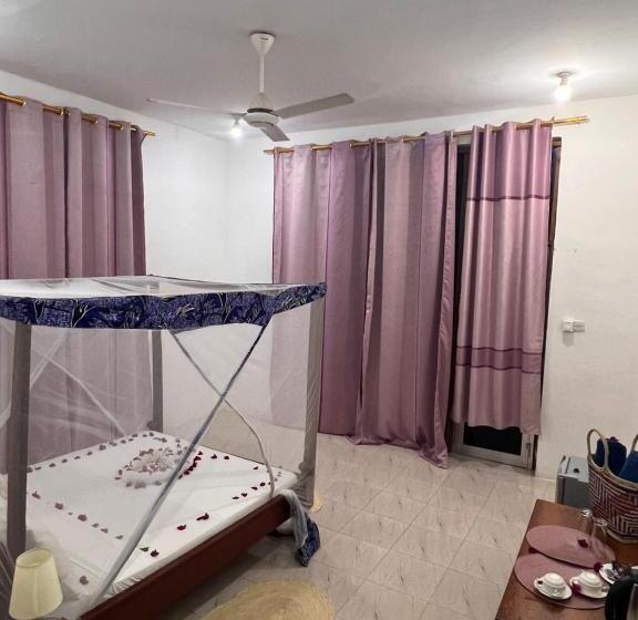 اتاق لوکس با تخت بزرگ, Nungwi Beach Front