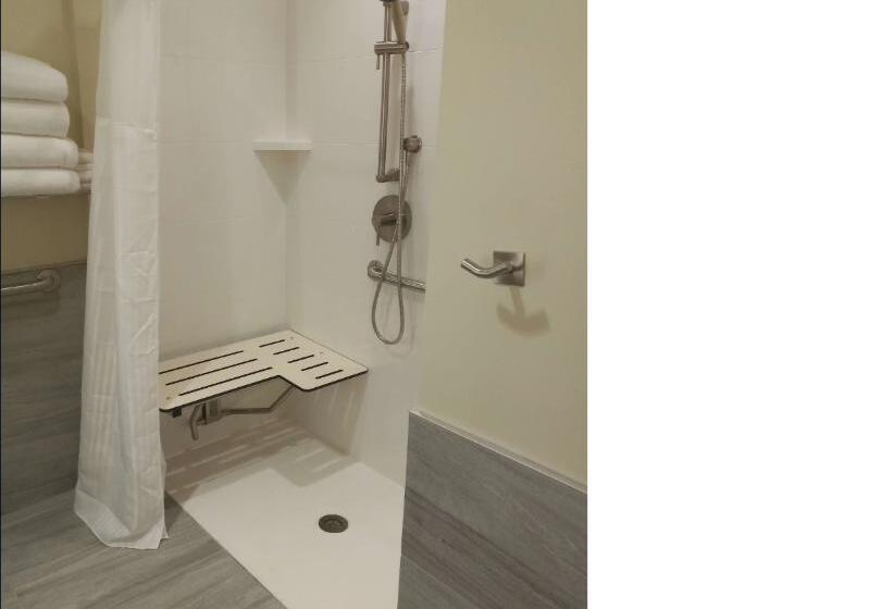 身障者適用スタンダードルーム, Radisson Hotel Pendleton Airport