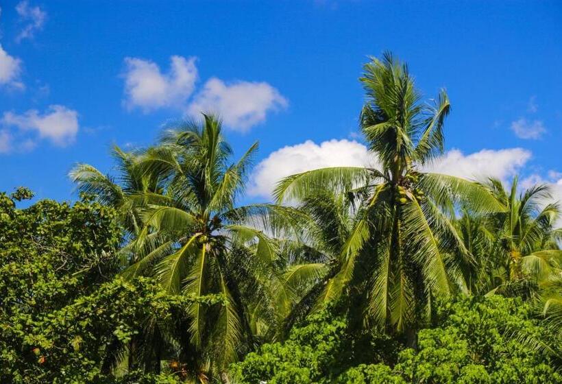 غرفة ديلوكس مزودة بشرفة, De Karon