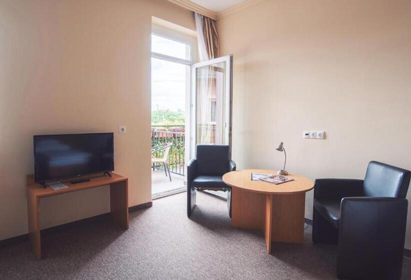 プレミアムルーム, Granada Conference, Wellness And Sport