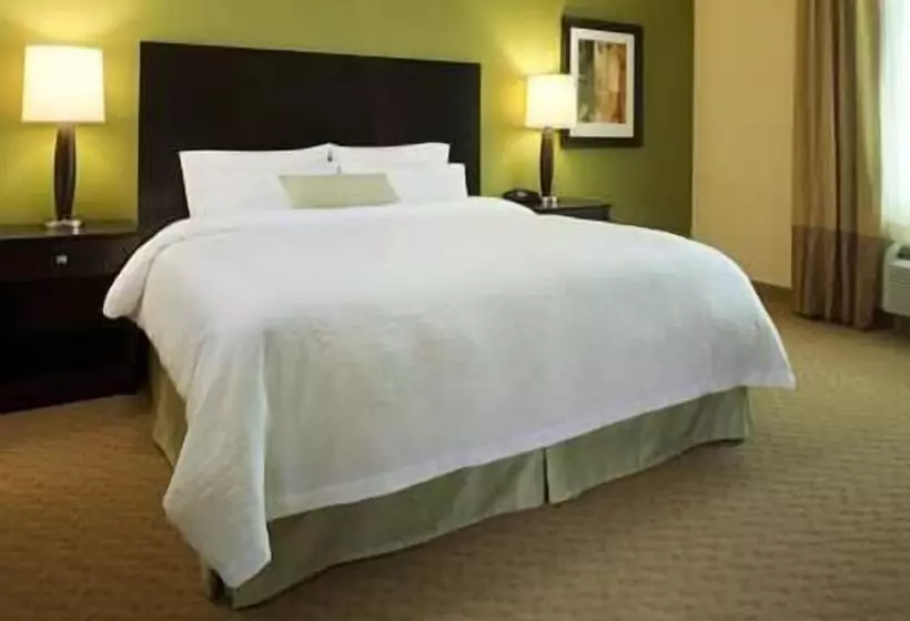 身障者適用キングサイズベッドルーム, Hampton Inn Philadelphia/voorhees