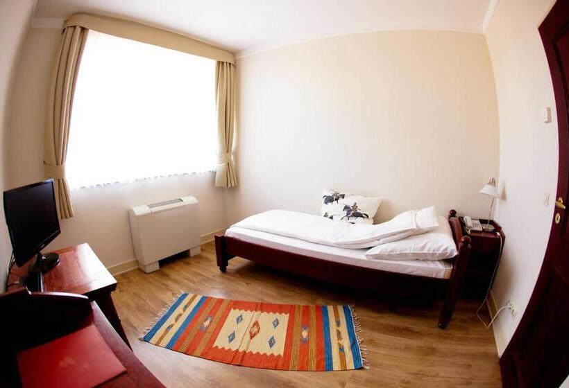 Номер Стандарт Индивидуальный, Mathias Rex