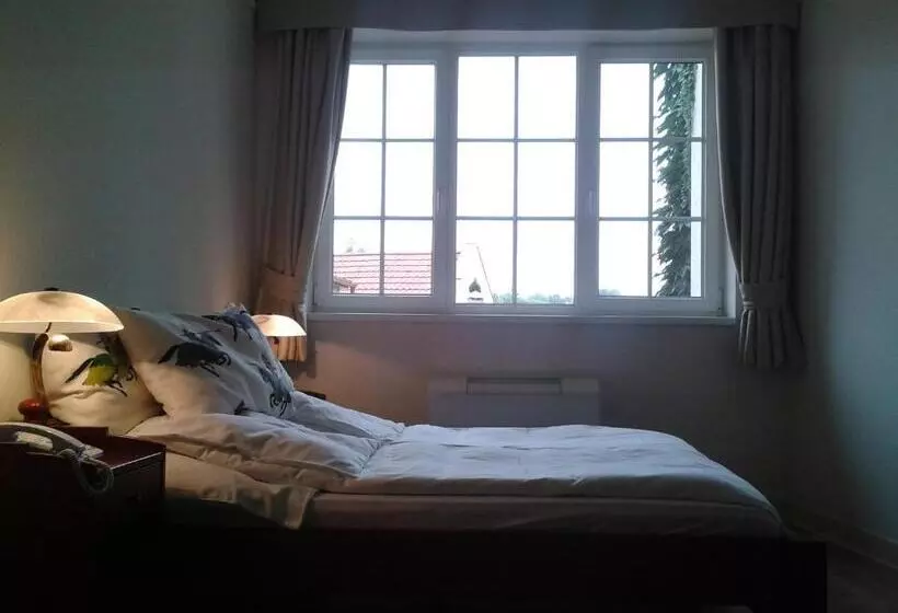 Standard-huone, Mathias Rex