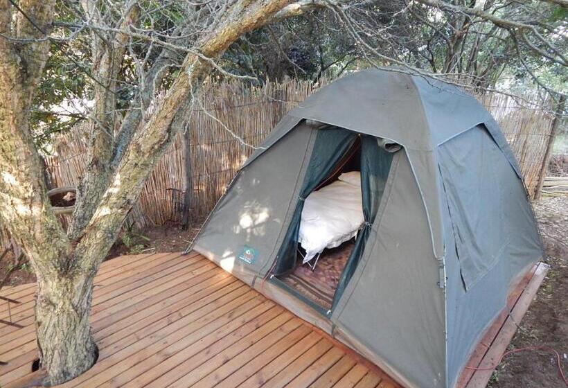 Standard Tent, The Old Trading Post