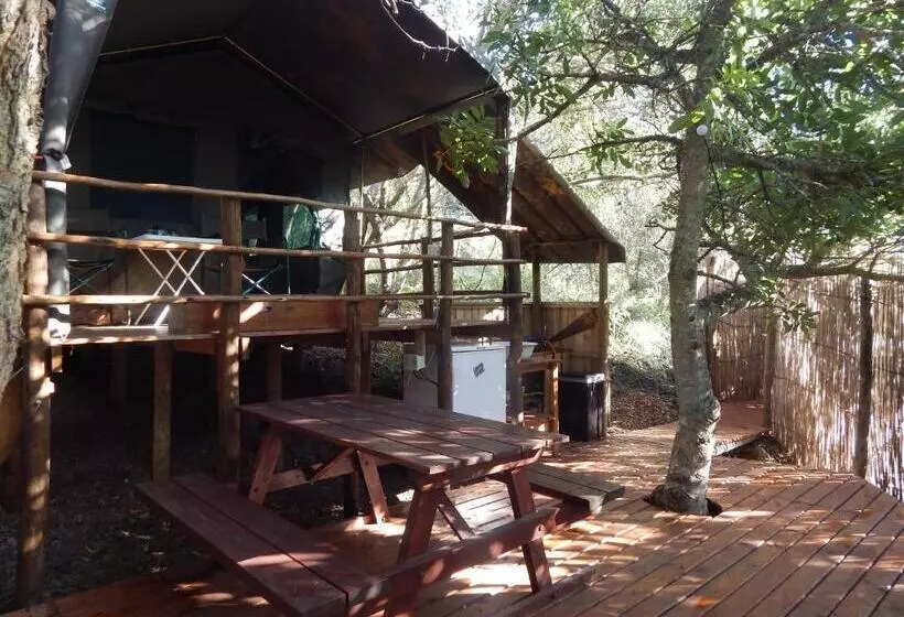 Standard Tent, The Old Trading Post
