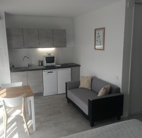 클래식 스튜디오, Residence Carouge Appart