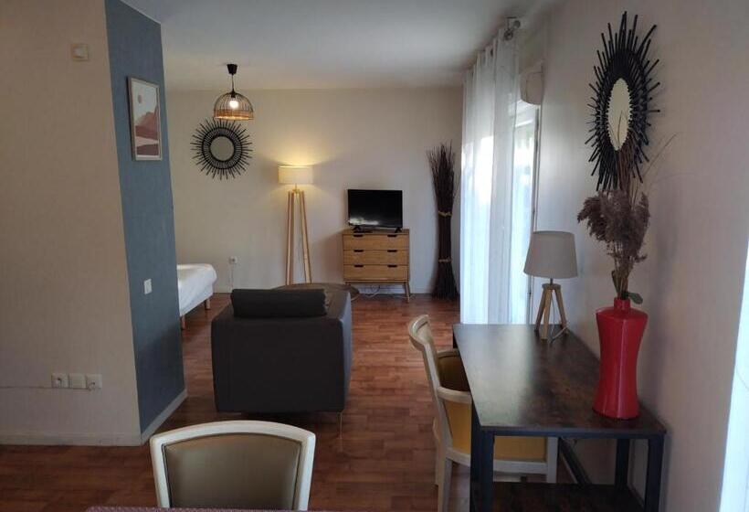 스탠다드 스튜디오, Residence Carouge Appart