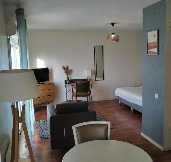 Студия Стандарт, Residence Carouge Appart