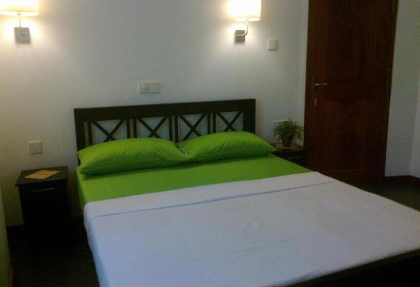 Номер Стандарт, Roman Beach