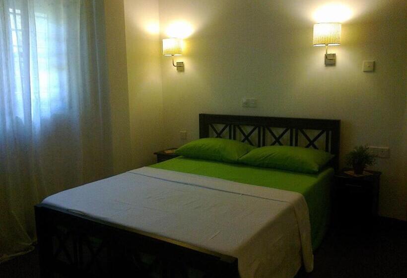 Номер Стандарт, Roman Beach