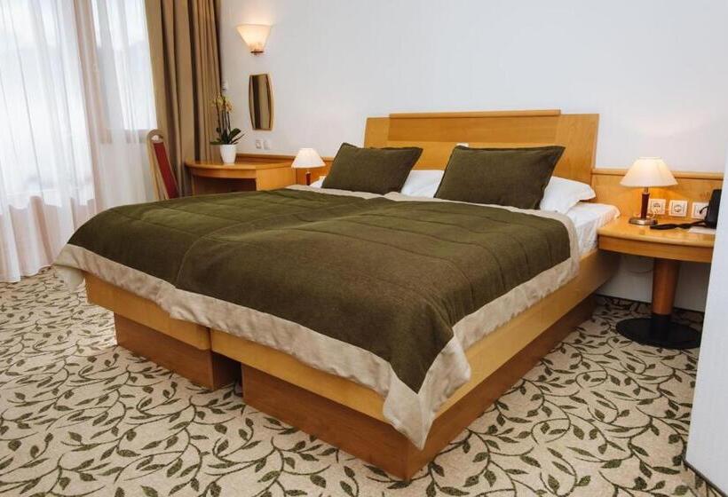 اتاق استاندارد, Terme Zrece   Hotel Vital