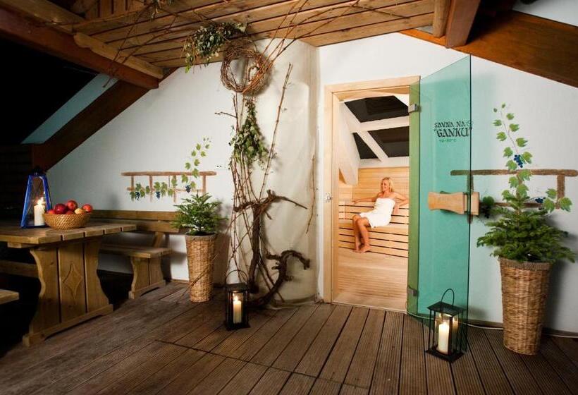 سوییت دوبلکس, Terme Zrece   Hotel Vital