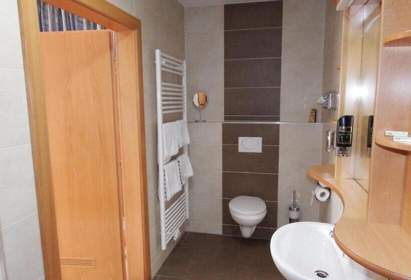 Номер Стандарт, Gartenpension Fischl