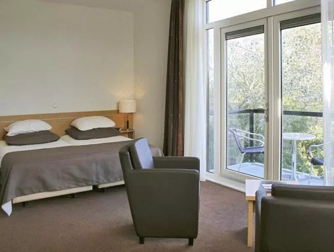 Habitación Estándar con Balcón, Ameland
