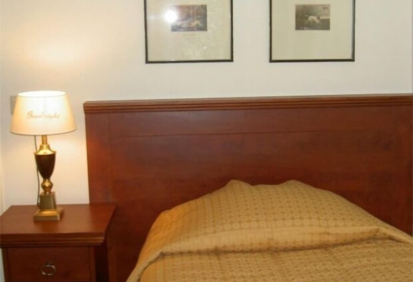 חדר סטנדרט יחיד, De Kroon Gennep