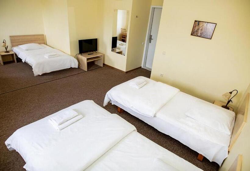 اتاق استاندارد سه نفره, Tomas