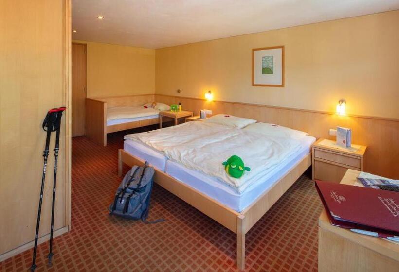 غرفة قياسية, Sonne Bezau   Familotel Bregenzerwald