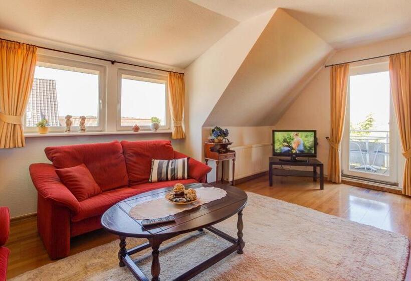 Номер Стандарт, Am See