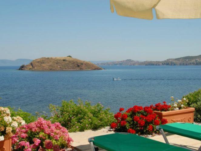 带2个卧室带海景的公寓, Birds Bay