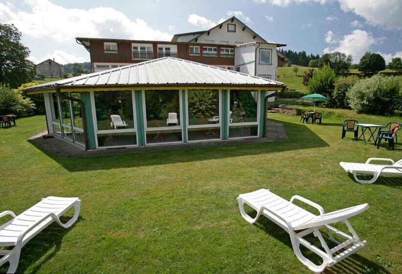 Номер Комфорт, Chalet Résidence La Combeauté