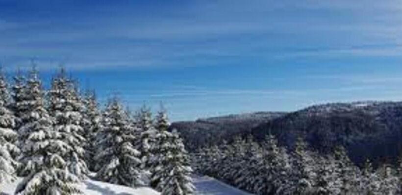 침실 1개 이코노미 아파트, Chalet Résidence La Combeauté