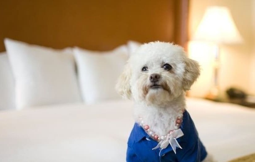 수피리어 룸, & Spa Gil De France Cap D Agde