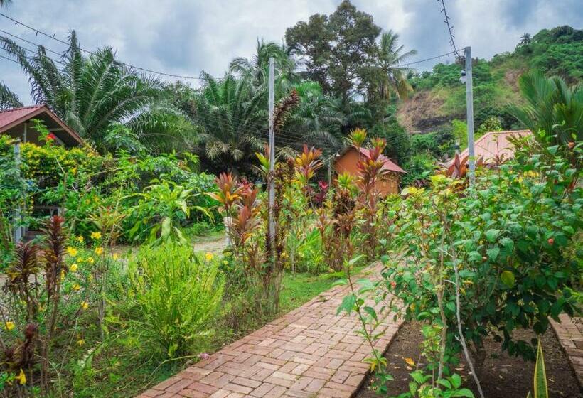 Номер Стандарт Вид на Сад, Timba Garden Free Town And Jetty Transport