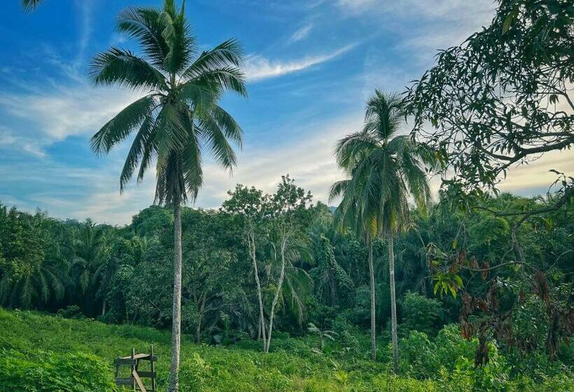 标准房带园景, Timba Garden Free Town And Jetty Transport