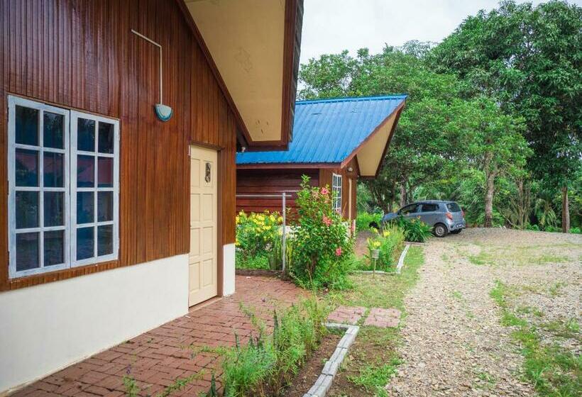 Номер Стандарт Вид на Сад, Timba Garden Free Town And Jetty Transport