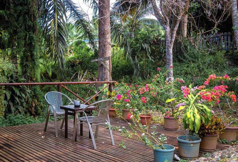 Номер Стандарт Вид на Сад, Timba Garden Free Town And Jetty Transport