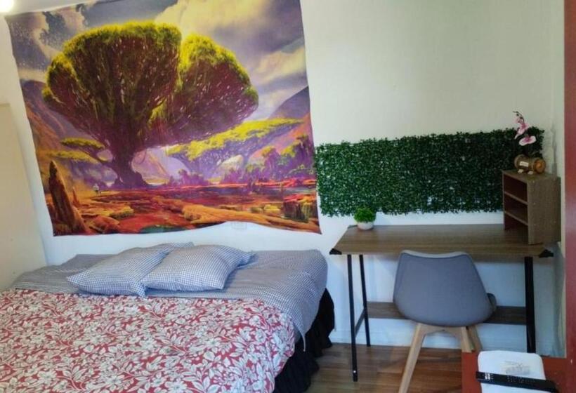 싱글 디럭스 룸, El Valle