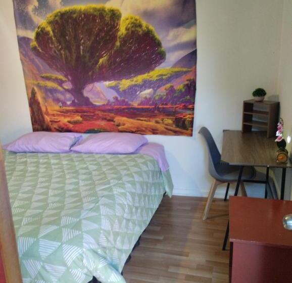 חדר דלוקס, El Valle