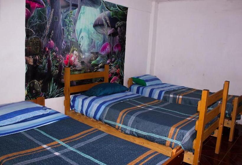 스탠다드 트리플 룸, El Valle