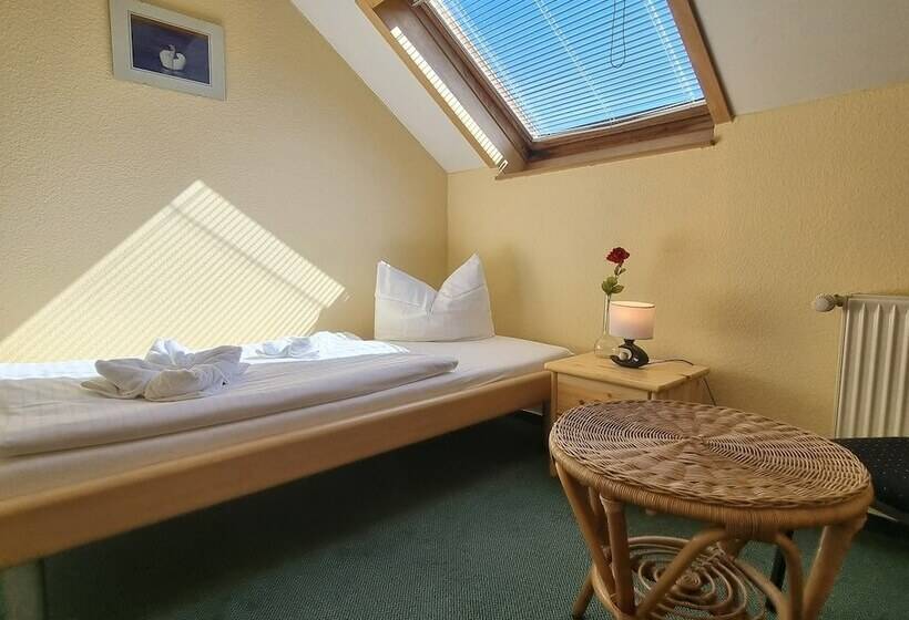 스탠다드 싱글 룸, Muritzpension Waren