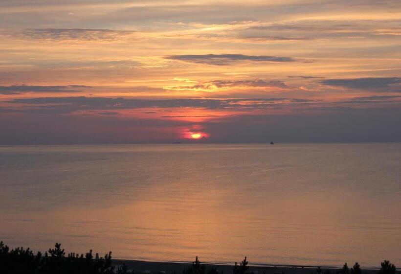 Апартаменты 1 Спальня Вид на Сад, Pension Amo Marem