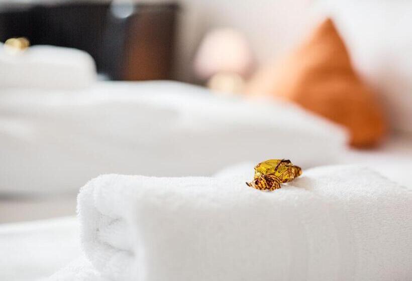 스탠다드 룸, Tum Stuurmann