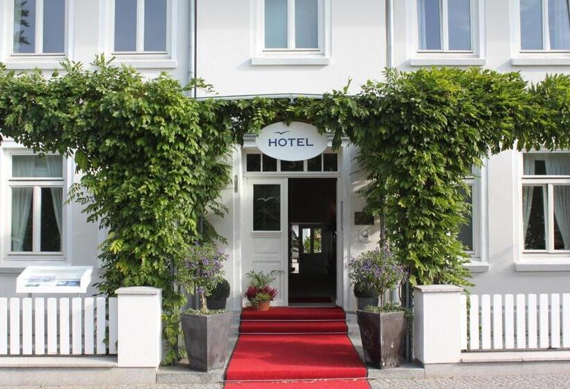 クラシックスイート, Seemöwe