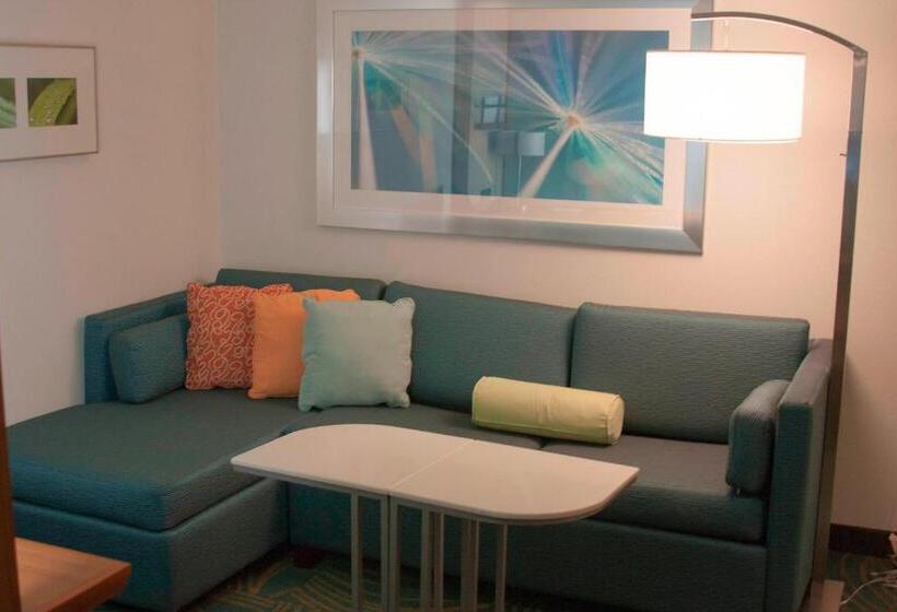 Студио Стандарт Кровать Кинг, Springhill Suites By Marriott Corpus Christi