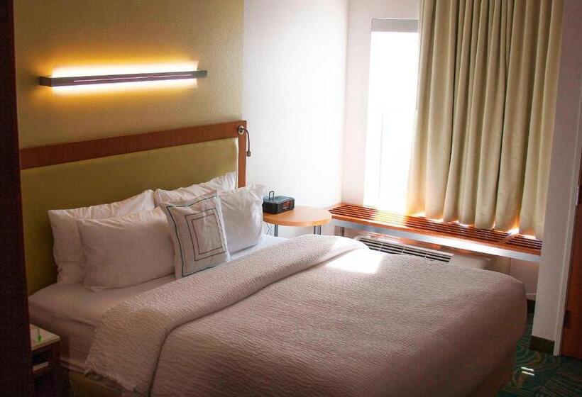 带大床的标准工作室, Springhill Suites By Marriott Corpus Christi