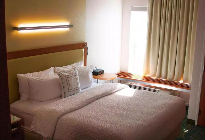キングサイドベッドのスタンダードワンルーム, Springhill Suites By Marriott Corpus Christi