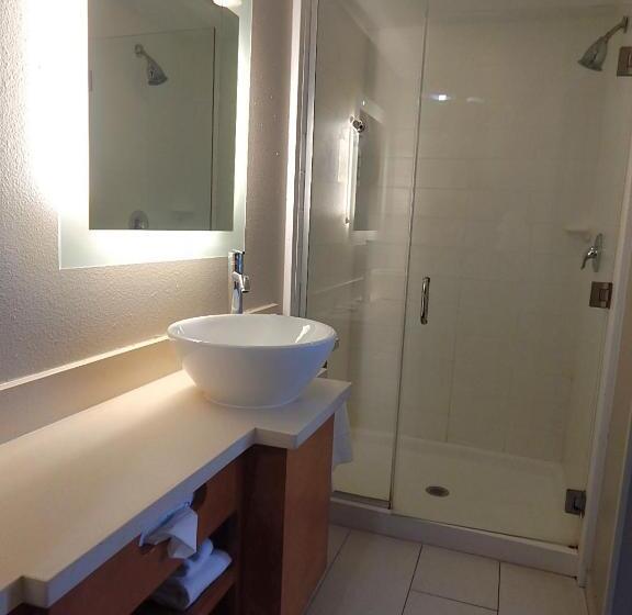 带大床的标准工作室, Springhill Suites By Marriott Corpus Christi