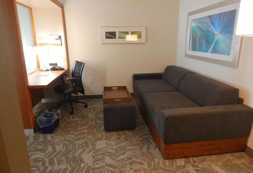 Студио Стандарт Кровать Кинг, Springhill Suites By Marriott Corpus Christi